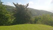 Vente Terrain Carbet  1309 m2