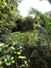 Vente Terrain Saint-joseph  1823 m2