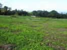 Vente Terrain Basse-pointe 824 m2