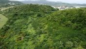 Vente Terrain Vauclin  32767 m2