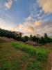 Vente Terrain Lamentin