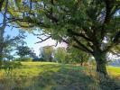 Vente Terrain Montdurausse  9582 m2