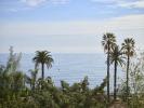 Vente Appartement Cannes 4 pieces 101 m2