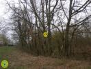 Vente Terrain Mezieres-en-brenne  2404 m2