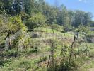 Vente Terrain Puygouzon 1190 m2