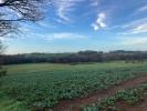 Vente Terrain Pluvigner  32767 m2