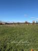 Vente Terrain Longechenal  775 m2