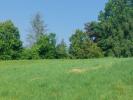 Vente Terrain Primarette  542 m2