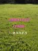Vente Terrain Teille 313 m2