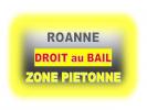 Vente Maison Roanne ZONE PIETONNE 55 m2