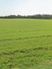 Vente Terrain Angliers  335 m2