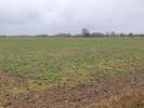 Vente Terrain Loupiac  400 m2