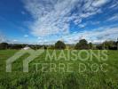 Vente Terrain Albi  610 m2