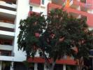 Vente Appartement Sainte-clotilde  2 pieces