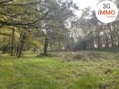 Vente Terrain Grand-champ 
