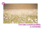 Vente Terrain Pommeraye 306 m2