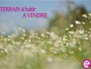 Vente Terrain Loroux-bottereau  2 pieces 509 m2