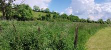 Vente Terrain Pouilly-en-auxois  1202 m2