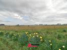 Vente Terrain Angerville-la-martel  1526 m2