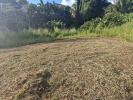 Vente Terrain Schoelcher 517 m2
