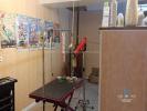 Vente Commerce Chateauneuf-du-faou  4 pieces 20 m2