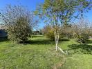 Vente Terrain Cussac-fort-medoc  790 m2