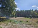 Vente Terrain Martillac 1135 m2
