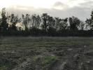 Vente Terrain Rochefort  220 m2