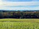 Vente Prestige Vic-fezensac  9 pieces 310 m2