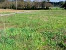 Vente Terrain Lande-de-fronsac  1087 m2