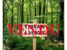 Vente Terrain Beganne  22245 m2