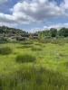 Vente Terrain Salaunes  556 m2