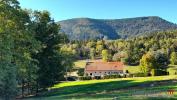 Vente Maison Sainte-marie-aux-mines  5 pieces 230 m2