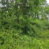 Vente Terrain Saint-remy-les-chevreuse  700 m2