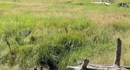 Vente Terrain Lacanau  900 m2