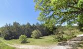 Vente Terrain Besse-sur-issole  1520 m2