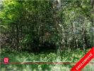 Vente Terrain Cande-sur-beuvron LE-CONTROIS-EN-SOLOGNE 4 pieces 32767 m2