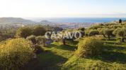 Vente Terrain Nice  3337 m2