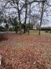 Vente Terrain Hourtin  732 m2