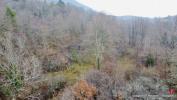 Vente Terrain Saint-die  32767 m2