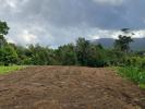 Vente Terrain Basse-pointe LE-MORNE-ROUGE 2004 m2