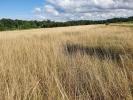Vente Terrain Pompignac  750 m2