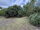 Vente Terrain Ravine-des-cabris 