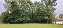 Vente Terrain Saint-saturnin 