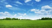 Vente Terrain Saint-martin-du-tertre  335 m2