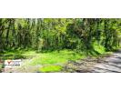 Vente Terrain Guerande  5754 m2