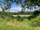 Vente Terrain Verdon-sur-mer  1002 m2
