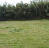 Vente Terrain Artigues-pres-bordeaux 505 m2