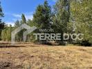 Vente Terrain Mezens  742 m2