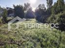 Vente Terrain Lagarde  587 m2